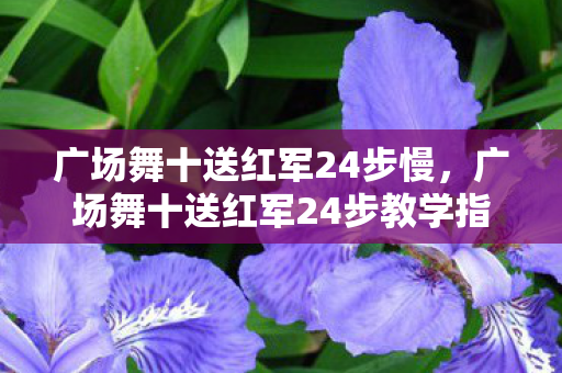 广场舞十送红军24步慢,广场舞十送红军24步教学指南 广场舞十送红军24步慢,广场舞十送红军24步教学指南