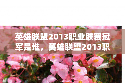 英雄联盟2013职业联赛冠军是谁，英雄联盟2013职业联赛，一场电竞盛宴的回顾