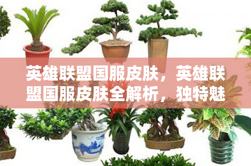 英雄联盟国服皮肤，英雄联盟国服皮肤全解析，独特魅力与游戏文化的交融