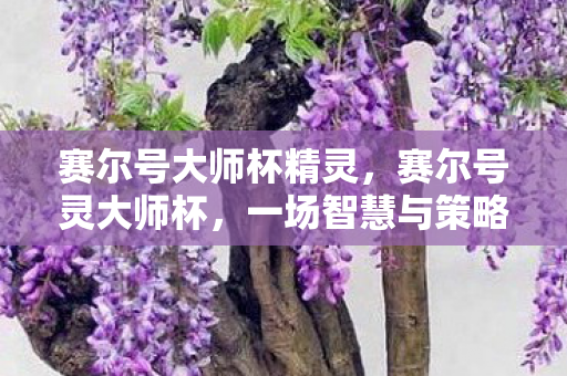 赛尔号大师杯精灵,赛尔号灵大师杯,一场智慧与策略的盛宴 赛尔号大师杯精灵,赛尔号灵大师杯,一场智慧与策略的盛宴