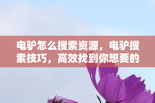 电驴怎么搜索资源,电驴搜索技巧,高效找到你想要的资源 电驴怎么搜索资源,电驴搜索技巧,高效找到你想要的资源