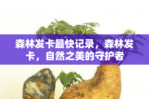 森林发卡最快记录，森林发卡，自然之美的守护者