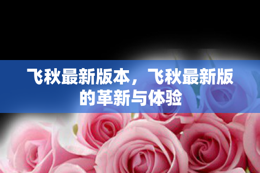 飞秋最新版本，飞秋最新版的革新与体验