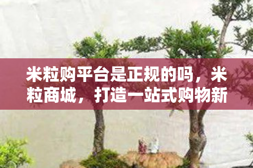 米粒购平台是正规的吗图片