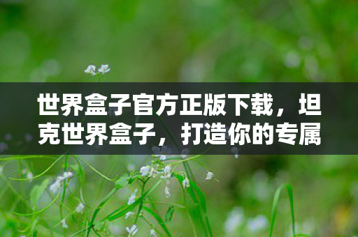 世界盒子官方正版下载，坦克世界盒子，打造你的专属坦克战场