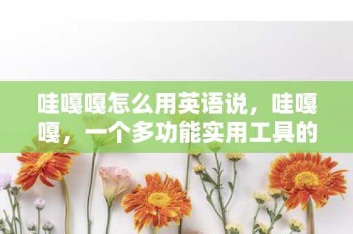 哇嘎嘎怎么用英语说，哇嘎嘎，一个多功能实用工具的使用指南