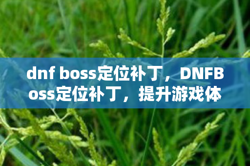 dnf boss定位补丁，DNFBoss定位补丁，提升游戏体验的必备神器