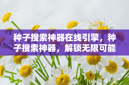 种子搜索神器在线引擎,种子搜索神器,解锁无限可能的网络探索工具 种子搜索神器在线引擎,种子搜索神器,解锁无限可能的网络探索工具