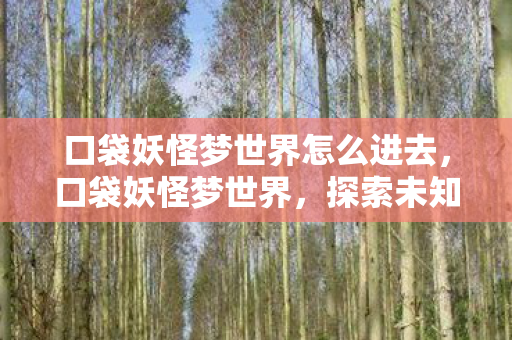 口袋妖怪梦世界怎么进去，口袋妖怪梦世界，探索未知，与神奇宝贝共舞