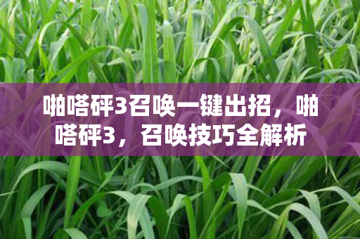 啪嗒砰3召唤一键出招，啪嗒砰3，召唤技巧全解析