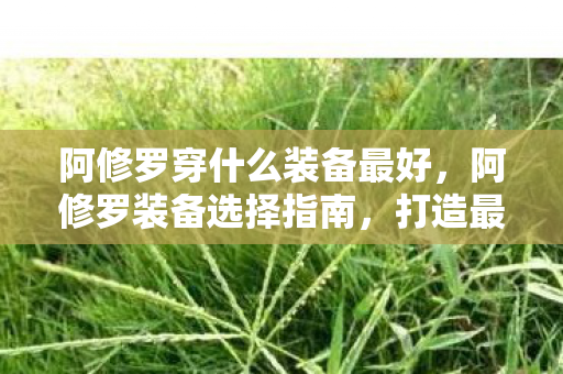 阿修罗穿什么装备最好，阿修罗装备选择指南，打造最强战斗力的关键