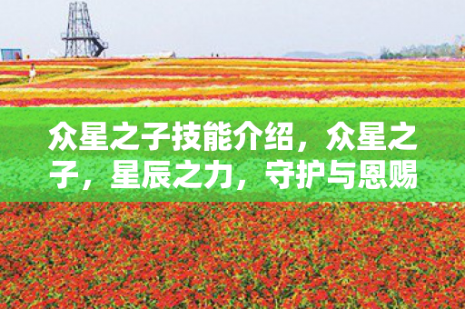 众星之子技能介绍，众星之子，星辰之力，守护与恩赐的交织