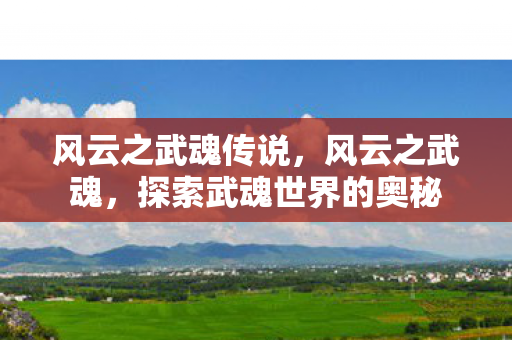 风云之武魂传说,风云之武魂,探索武魂世界的奥秘 风云之武魂传说,风云之武魂,探索武魂世界的奥秘