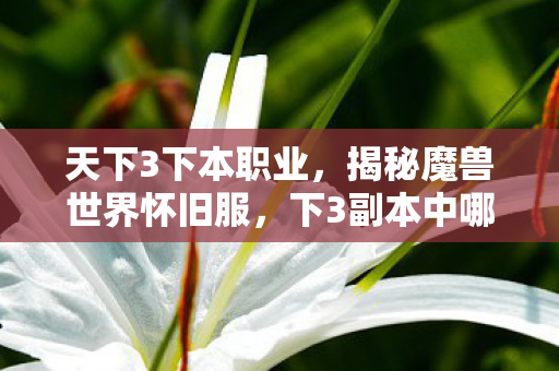 天下3下本职业，揭秘魔兽世界怀旧服，下3副本中哪个职业最厉害？