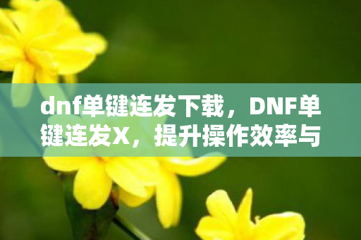 dnf单键连发下载,DNF单键连发X,提升操作效率与游戏体验的利器 dnf单键连发下载,DNF单键连发X,提升操作效率与游戏体验的利器