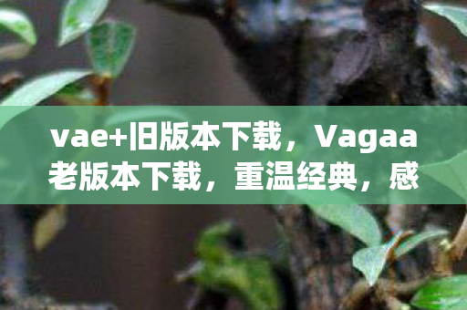 vae+旧版本下载，Vagaa老版本下载，重温经典，感受时光流转