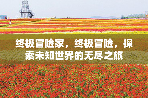 终极冒险家，终极冒险，探索未知世界的无尽之旅