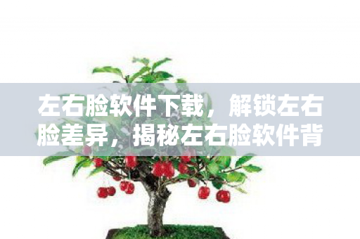 左右脸软件下载，解锁左右脸差异，揭秘左右脸软件背后的秘密