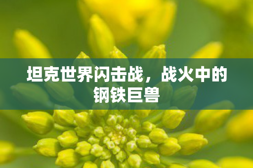 坦克世界闪击战，战火中的钢铁巨兽