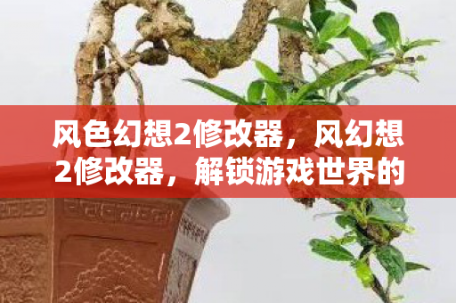 风色幻想2修改器，风幻想2修改器，解锁游戏世界的无限可能
