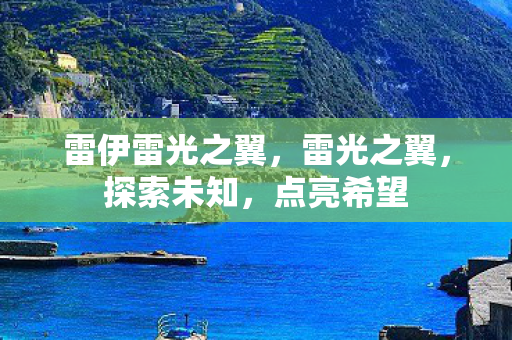 雷伊雷光之翼，雷光之翼，探索未知，点亮希望