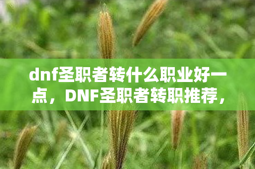 dnf圣职者转什么职业好一点，DNF圣职者转职推荐，哪个职业最适合你？