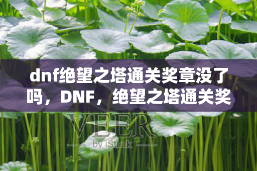 dnf绝望之塔通关奖章没了吗,DNF,绝望之塔通关奖章的荣耀与回忆 dnf绝望之塔通关奖章没了吗,DNF,绝望之塔通关奖章的荣耀与回忆