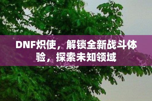 DNF炽使,解锁全新战斗体验,探索未知领域 DNF炽使,解锁全新战斗体验,探索未知领域