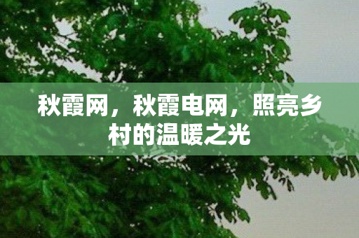 秋霞网，秋霞电网，照亮乡村的温暖之光