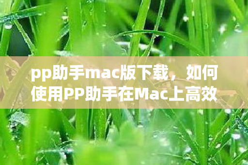 pp助手mac版下载,如何使用PP助手在Mac上高效管理你的移动设备 pp助手mac版下载,如何使用PP助手在Mac上高效管理你的移动设备