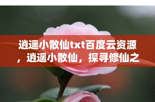 逍遥小散仙txt百度云资源，逍遥小散仙，探寻修仙之路的奇幻之旅