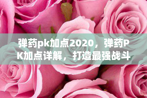 弹药pk加点2020,弹药PK加点详解,打造最强战斗法师 弹药pk加点2020,弹药PK加点详解,打造最强战斗法师
