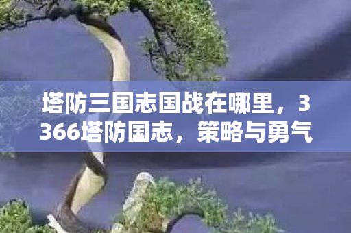 塔防三国志国战在哪里，3366塔防国志，策略与勇气的较量