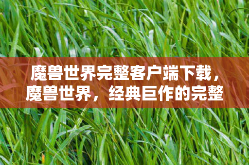 魔兽世界完整客户端下载，魔兽世界，经典巨作的完整客户端体验