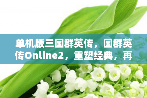 单机版三国群英传,国群英传Online2,重塑经典,再续传奇 单机版三国群英传,国群英传Online2,重塑经典,再续传奇