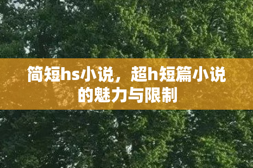 简短hs小说，超h短篇小说的魅力与限制