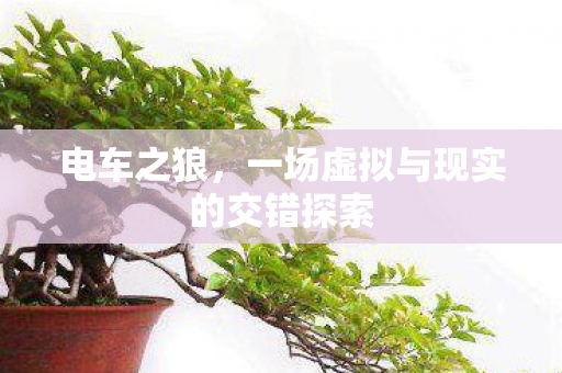 电车之狼，一场虚拟与现实的交错探索