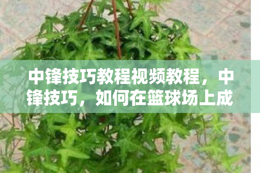 中锋技巧教程视频教程，中锋技巧，如何在篮球场上成为不可阻挡的力量