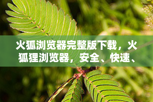 火狐浏览器完整版下载，火狐狸浏览器，安全、快速、便捷的上网新选择