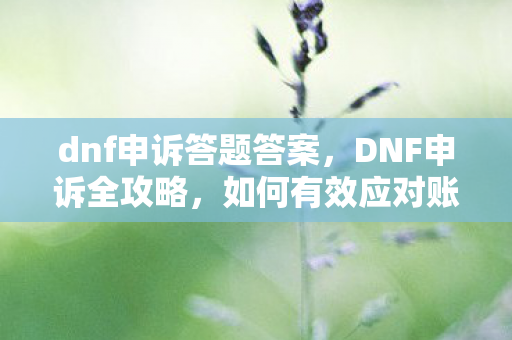dnf申诉答题答案，DNF申诉全攻略，如何有效应对账号安全问题