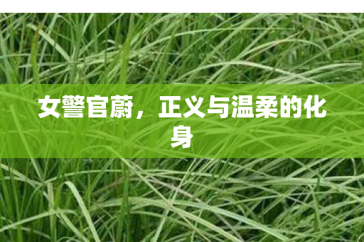 女警官蔚，正义与温柔的化身