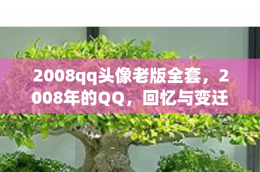 2008qq头像老版全套,2008年的QQ,回忆与变迁 2008qq头像老版全套,2008年的QQ,回忆与变迁