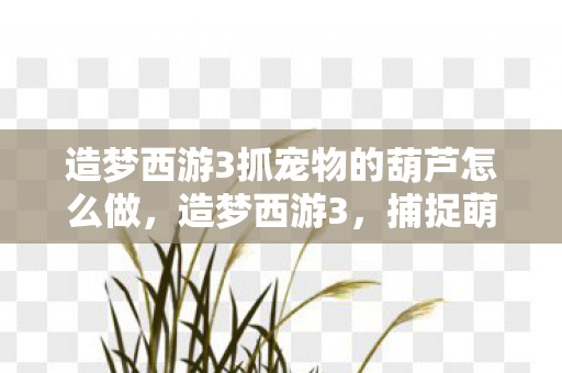 造梦西游3抓宠物的葫芦怎么做,造梦西游3,捕捉萌宠的奇妙之旅 造梦西游3抓宠物的葫芦怎么做,造梦西游3,捕捉萌宠的奇妙之旅