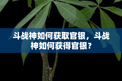 斗战神如何获取官银，斗战神如何获得官银？