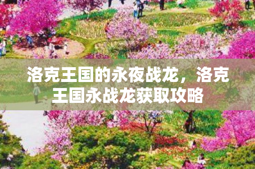 洛克王国的永夜战龙，洛克王国永战龙获取攻略