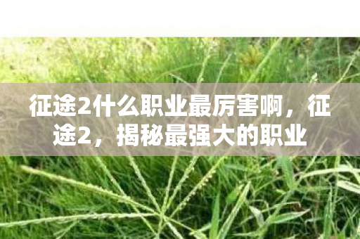 征途2什么职业最厉害啊，征途2，揭秘最强大的职业