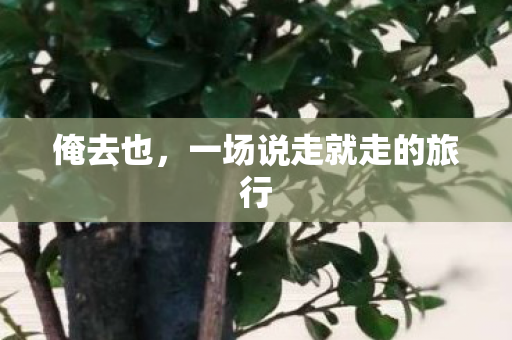 俺去也,一场说走就走的旅行 俺去也,一场说走就走的旅行