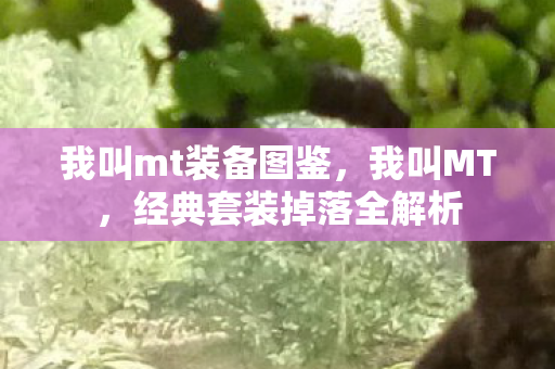 我叫mt装备图鉴,我叫MT,经典套装掉落全解析 我叫mt装备图鉴,我叫MT,经典套装掉落全解析