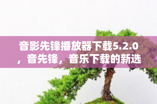 音影先锋播放器下载5.2.0，音先锋，音乐下载的新选择