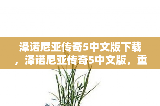 泽诺尼亚传奇5中文版下载，泽诺尼亚传奇5中文版，重温经典，再续传奇